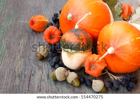 pumpkins, nuts, cape gooseberries. autumn harvest