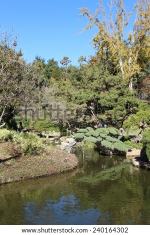 Pond in the Japanese garden in the Huntington Botanical Gardens near Los Angeles, Southern California on December 26, 2014 at 1:30 p.m.