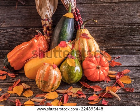 Thanksgiving fall harvest with gourds & pumpkin against rustic old barn wood background