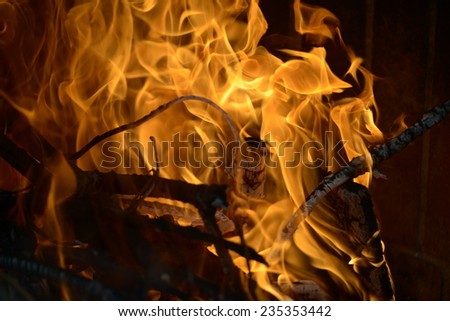 Detail picture of the flames from a burning wood