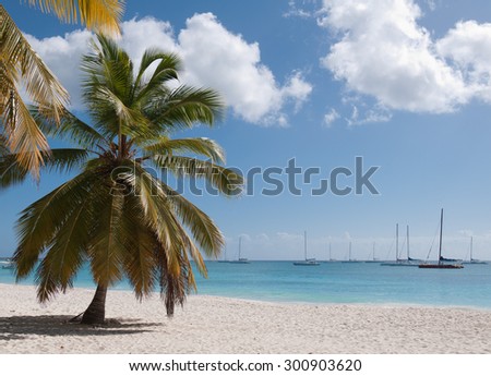 Caribbean sea and beach