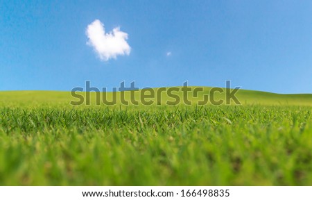 Green grass and  clouds in the blue sky, Heart shaped cloud.