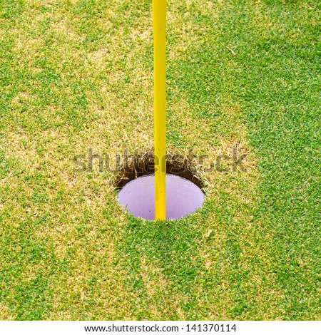 Golf hole on the lawn and yellow pennants