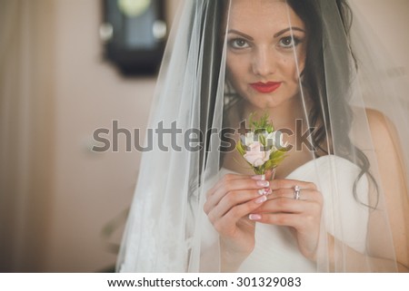 beautiful bride closeup portrait under a veil