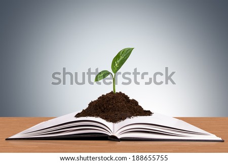 Nature plant in soil growing in book on wooden table.
