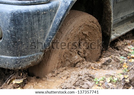 Car\'s wheels in mud in the forest, off-road