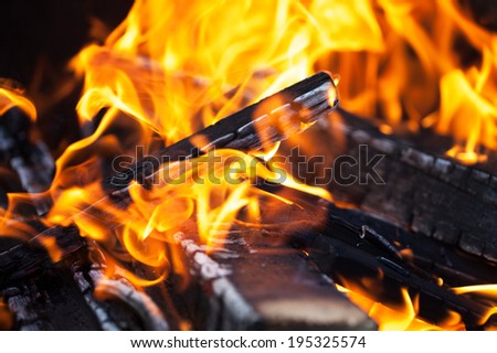 Wood fire with ash, Closeup