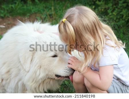Large white Shepherd licking a wound on the knee of a little girl, selective focus