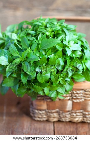 Bunch of fresh green basil in a basket on a wooden table, selective focus