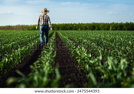 Similar – Image, Stock Photo A farmer on a tractor works in the field. Milling soil, crushing and loosening ground before cutting rows. Farming, agriculture. Preparatory earthworks before planting a new crop. Land cultivation