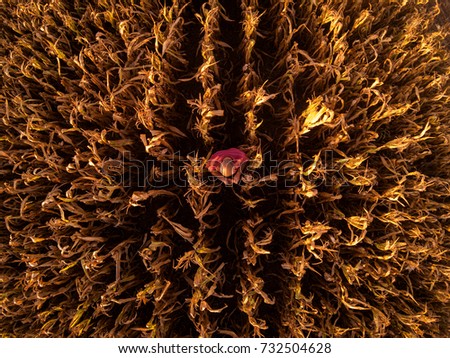 Similar – Image, Stock Photo Aerial view of farmer cleaning dirt of combine in agricultural field