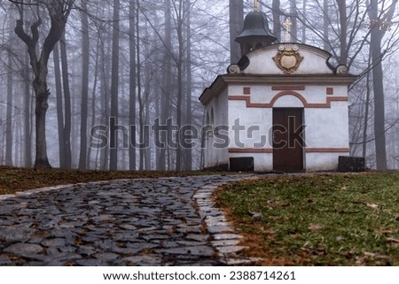 Image, Stock Photo sepulchers Nature Autumn