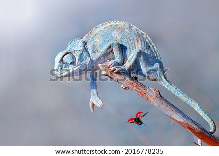 Similar – Image, Stock Photo Macro image of a peeler drill