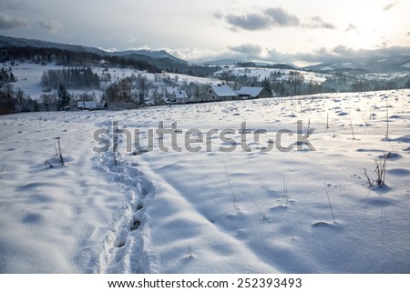 Footsteps on the snow. Polish mountains