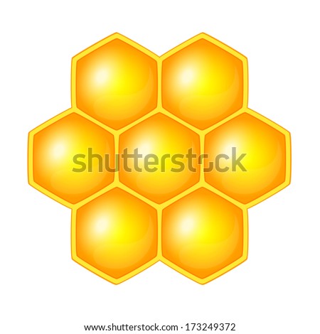 Honeycomb, Isolated On The White Stock Vector 173249372 : Shutterstock