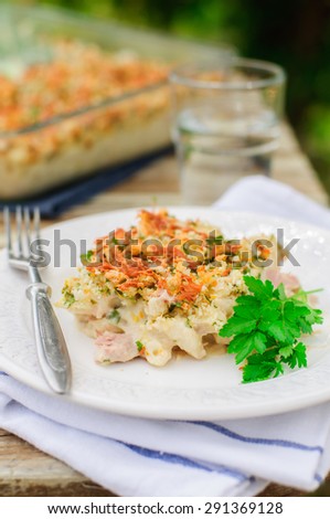 Tuna, Leek, Mornay and Orange Pasta Bake with Bread Crumb and Cheese Topping (Macaroni and Cheese), copy space for your text