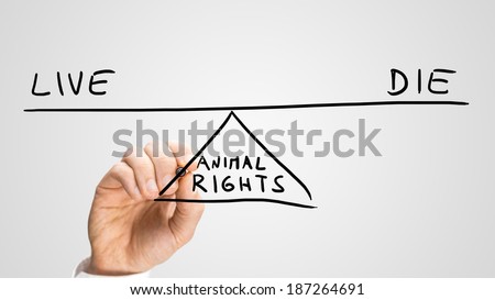 Animal Rights - to Live or to Die, a conceptual image of the status of animal rights with a man drawing a seesaw on a virtual interface balancing the two concepts on opposite ends in equilibrium.