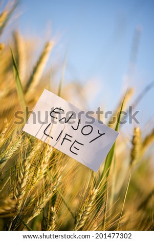 White card with Enjoy life sign in wheat field. Prosperity and happiness concept.