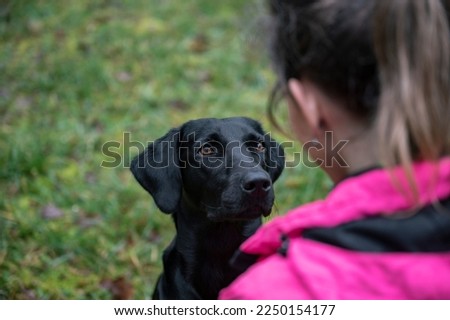 Similar – Image, Stock Photo Look at that! attention