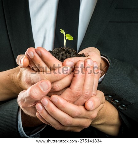 Cupped hands of different business people united to protect a green fragile sprout grown in fertile soil, concept of ecology and business start up.