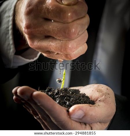 Closeup of male hands in a formal suit nurturing and watering a young green sprout. Conceptual of business start up, environmental care and protection.