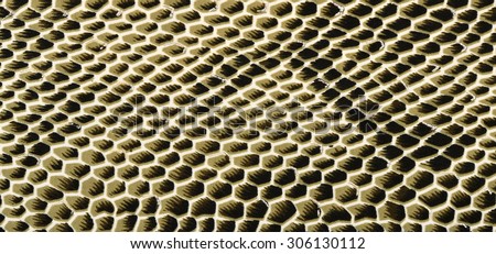 Snake skin pattern on fabric. Close up on black and green with white snake skin print for background.