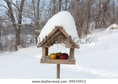 bird-table outdoors in the snow