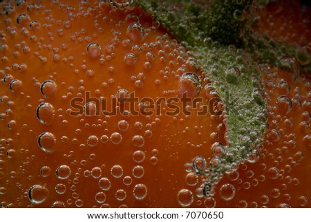 Tomatoes shipped in an aquarium with mineral water