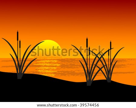Reed in sunset landscape - vector illustration