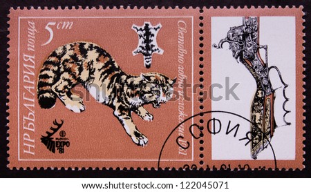 BULGARIA - CIRCA 1981: A stamp printed in Bulgaria shows a tiger and gun, circa 1981.