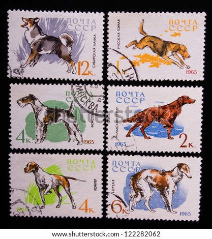 USSR - CIRCA 1965: A stamp printed in USSR shows dogs of different kinds, circa 1965.