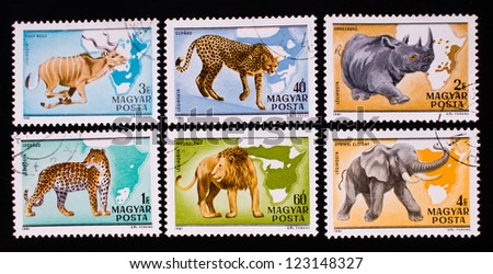 HUNGARY - CIRCA 1981: A stamp printed in Hungary shows the  wild animals of the Africa,circa 1981