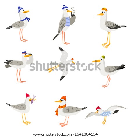 Set of funny cartoon gulls in scarves and hats. Seagull or cormorant as a boatswain or captain.