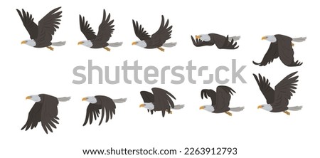 Flying Eagle. A set of frames for 2-d animation. Cycle of the bird's flight.