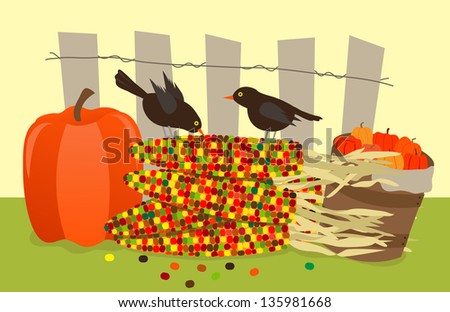 Colorful Corn and Birds - Vector illustration of small black birds standing on a pile of colorful corns, with pumpkins on each side  and a fence in the background. Eps10