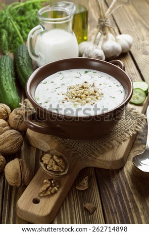 Tarator, bulgarian sour milk soup in the bowl