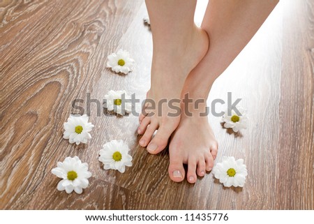 Beautiful female feet on the dark floorboard with white daisies around.