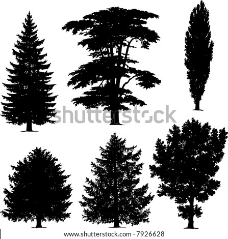 Collection Of Pine Trees Stock Vector 7926628 : Shutterstock