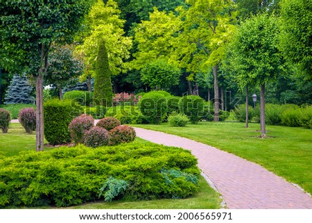 curved pedestrian walkway of stone tiles in park with landscape design with green plants bushes and trees, landscaped of thujas and deciduous buhes on the lawn, nobody. Stock foto © 