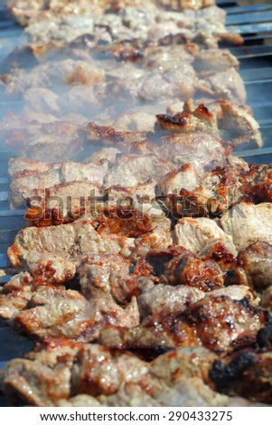 The pork shish kebab prepares on fire and a smoke, a meat dish on a brazier.