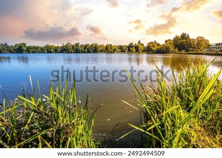 Similar – Image, Stock Photo Center Parks Allgäu