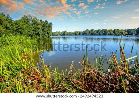 Similar – Image, Stock Photo Center Parks Allgäu