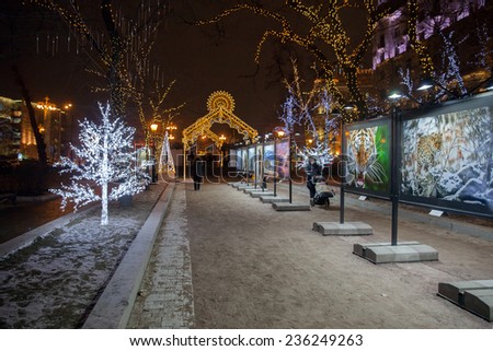 MOSCOW, RUSSIA - DECEMBER 04, 2014: The view of open air photo exposition on Tverskoy boulevard in Moscow with Christmas lights