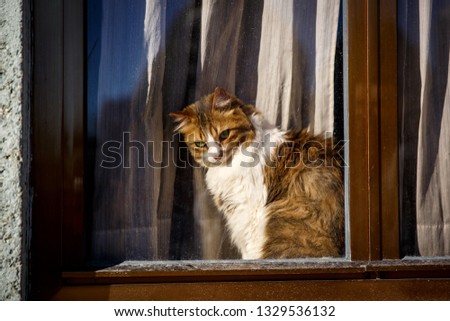 Chair Side View With Window View Of Nature Images And Stock