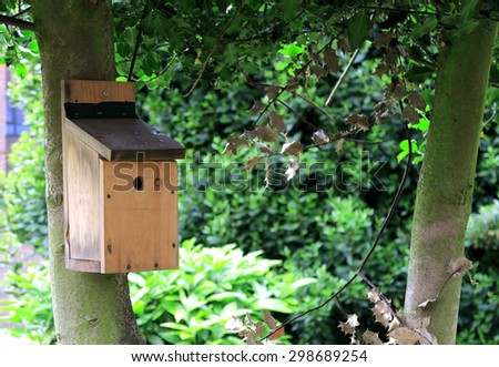 A small bird house fixed to the trunk of a tree / Bird house in a tree
