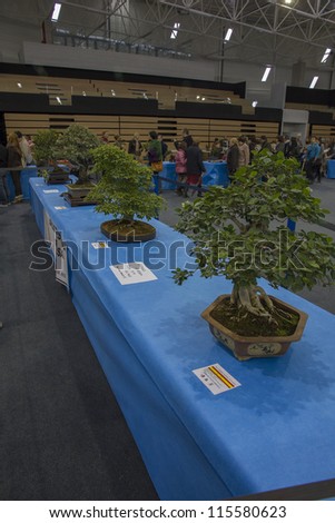 BEMBIBRE-SPAIN-OCTOBER 14:Spanish National Bonsai Congress.Congress has  bonsaiÂ´s ceded by the King of Spain Juan Carlos I and ex-president Felipe Gonzalez  in Bembibre, Spain on October 14,2012