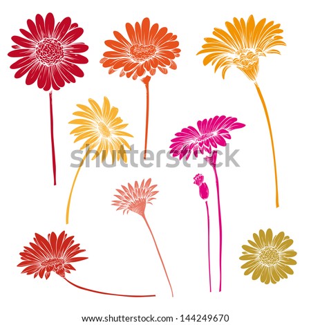 Hand drawn gerber flowers vector set