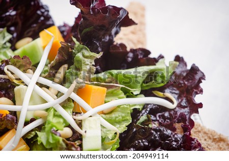 Red Leaf Lettuce Salad with Bean Sprouts