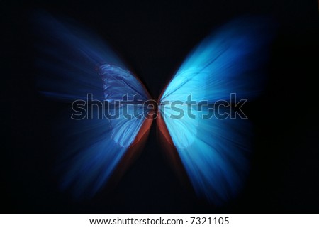 Beautiful butterfly blue abstract with zoom effect - morpho
