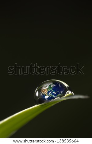 leaf with rain droplets Recovery - earth concept / rain droplets on a leaf reflecting earth concept for environmental conservation   \